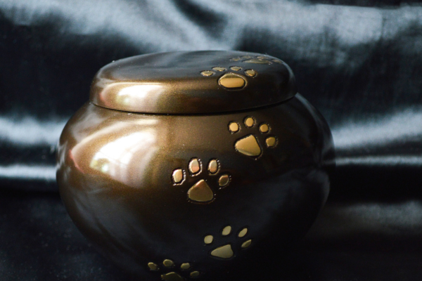 Pet cremation in Seattle