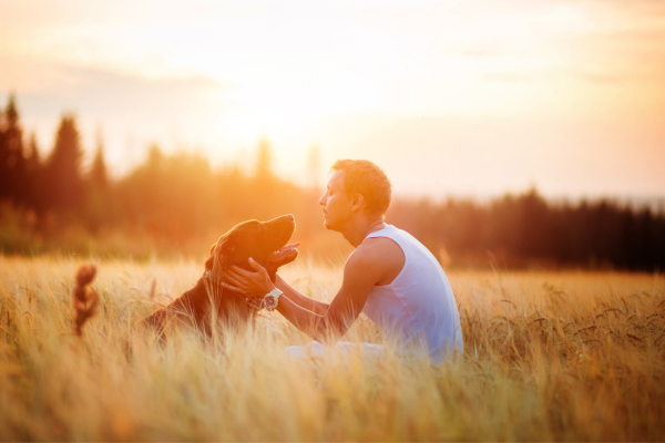 Pet cremation in Riverside