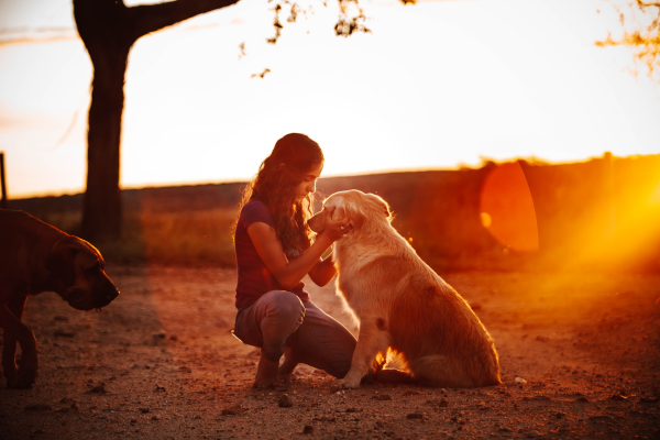 Pet cremation in San Diego